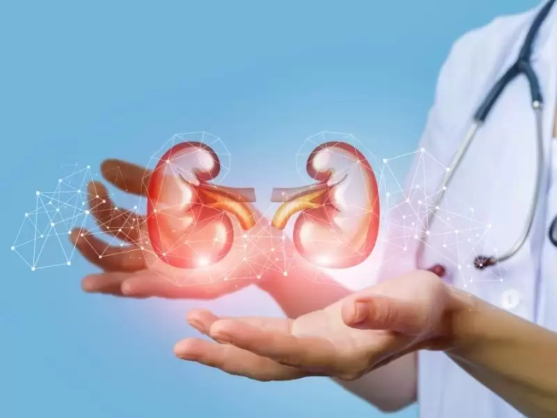 sistemik-hastaliklarda-bobrek-tutulumu