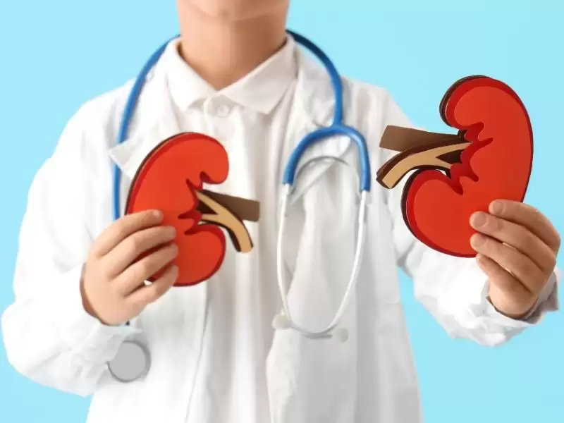 bobrek-fonksiyon-bozukluklari-ve-glomeruler-hastaliklar